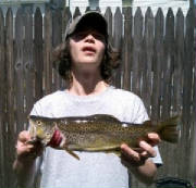 Brandon's Brown Trout