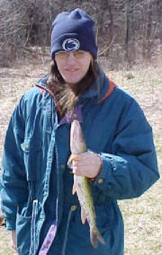 Henry's Chain Pickerel