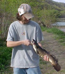 Brandon's Bowfin